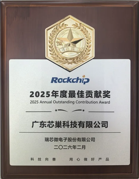Rockchip 2025 Best Contribution Award